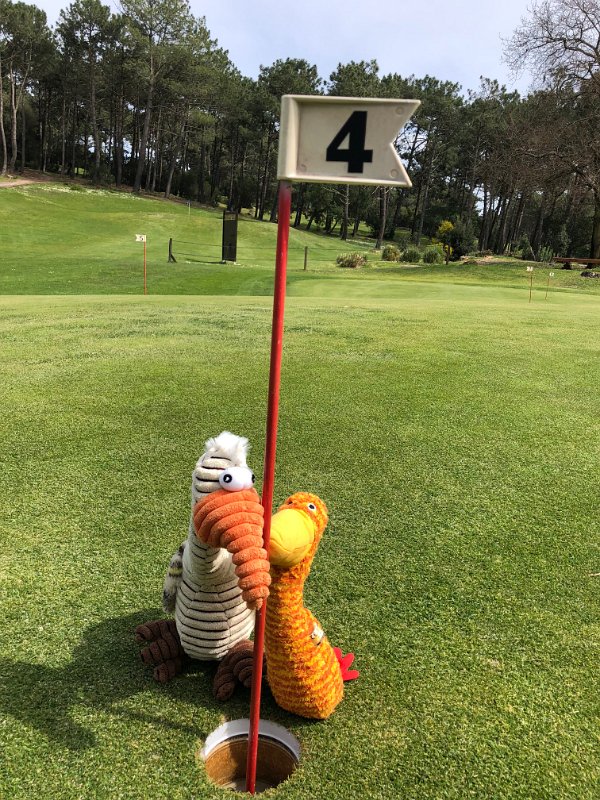 Bilder der Tour 2018